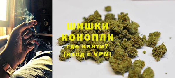 молекула духа Михайловск